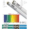 Świetlówka SYLVANIA AQUASTAR T5 24W 549mm
