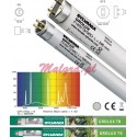 Świetlówka SYLVANIA GRO-LUX T8 30W 895mm